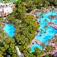 Caesars Entertainment Las Vegas Resorts Invite Candidates to Join the 2021 Virtual Summer Pool Job Fair January 8