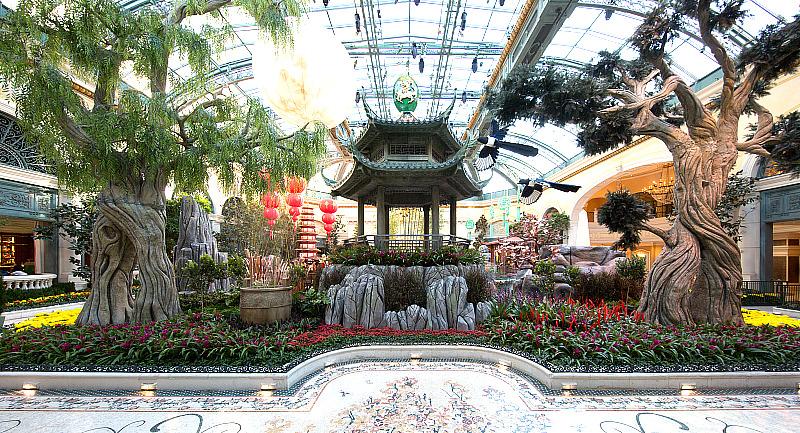 Bellagio Conservatory Lunar New Year West Bed - Photo credit: Kelly McKeon for Bellagio