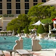 MGM Resorts to Host Virtual Pool Hiring Event on Jan. 9