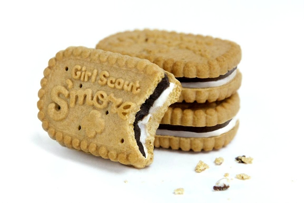 Girl Scout S'mores