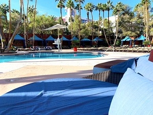 Pool Season Arrives at Treasure Island Las Vegas