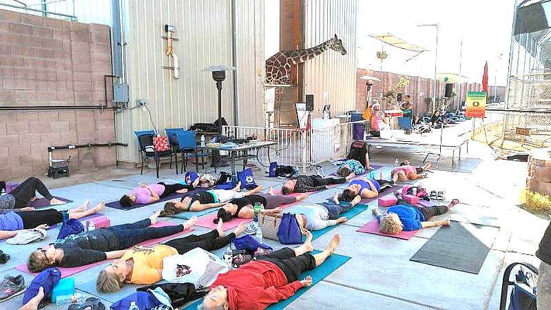 Lion Habitat Ranch Hosts Lion's Breath Yoga Event