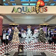Aquarius Casino Resort and Edgewater Casino Resort to Host 10th Annual Christmas Tree Silent Auction