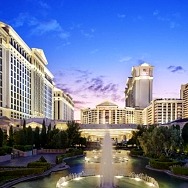 Top 6 Hotels in Las Vegas