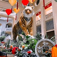 The Venetian Resort Las Vegas Celebrates Chinese New Year 2022 in Roaring Style