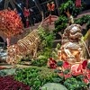 Bellagio’s Conservatory & Botanical Gardens Celebrates Lunar New Year with Festive “Eye of the Tiger” Display (with Video)