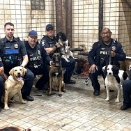 Official SAW Escape Hosts Clark County School District Police K9 Officers For Specialized Training Event