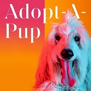 Fashion Show Las Vegas Partners With Local Animal Society, Heaven Can Wait for Pups on Parole Dog Adoption Events