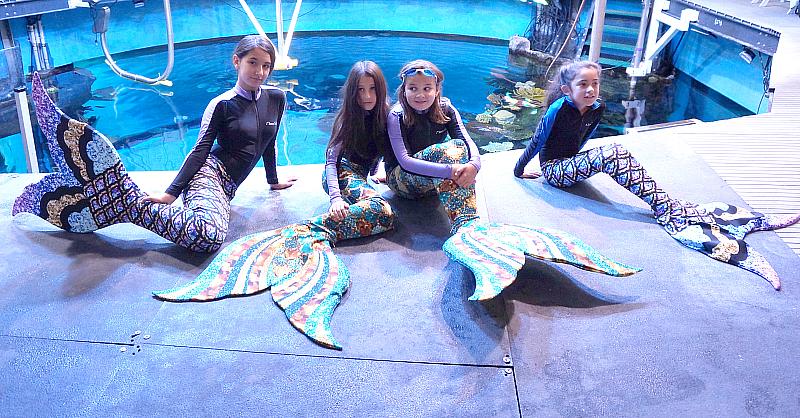 Mermaid School at Silverton Casino