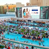 Stadium Swim's Rosé Garden Featuring Bottomless Libations to Debut at Circa in Las Vegas, May 29