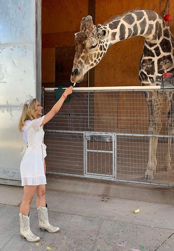 Lion Habitat Ranch Celebrates World Giraffe Day  