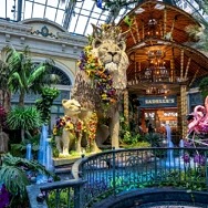 Bellagio Conservatory & Botanical Gardens Transforms into Animal Kingdom for New Summer Display ‘Jungle of Dreams’