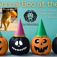 4th Annual Boo at the Zoo at Lion Habitat Ranch - Halloween Weekend