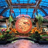 Bellagio’s Conservatory & Botanical Gardens Celebrates the Year of the Rabbit with Spectacular Display