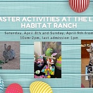 Easter Activities at Lion Habitat Ranch, April 8-9