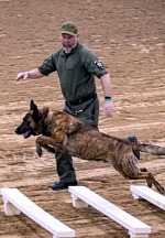 31st Annual LVMPD K-9 Trials at South Point Arena March 19, 2023 - FREE General Admission
