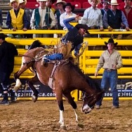 South Point Arena and Equestrian to Host West Coast Regional Finals Rodeo, May 12-13