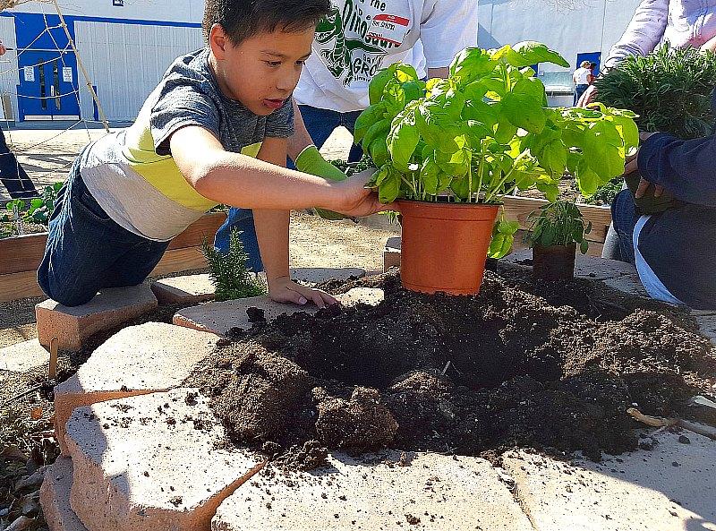 Green Our Planet Brings Gardens and Hydroponics to 1,200 Communities Nationwide, Thanks to the Engelstad Foundation