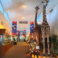 Las Vegas Natural History Museum to Kick Off A December to Remember Holiday Exhibition and Event Series with Special Reception, December 1