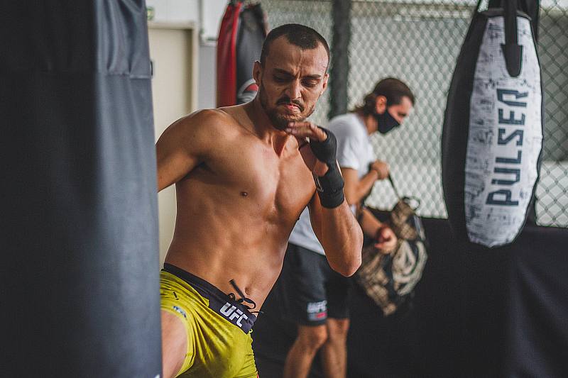 How Do UFC Fighters Train and Prepare for Fights?