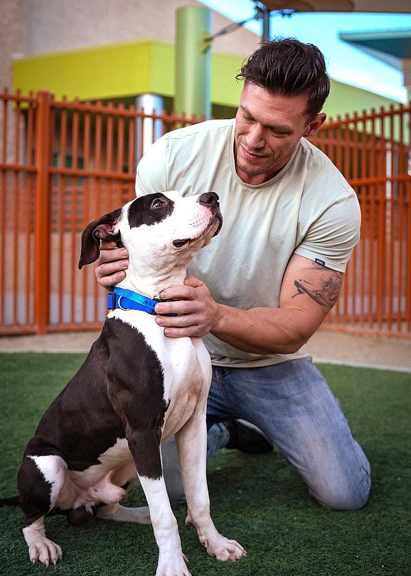 The Animal Foundation and Kings of Hustler Male Revue to Host ‘Hunks for Hounds’ Mobile Dog Adoption Event