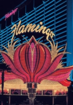 Flamingo Hotel's Allure for Tourists: Beyond the Pink Feathers