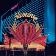 Flamingo Las Vegas: A Touch of Tropical Escape in the Heart of the Strip