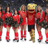 Vegas Golden Knights Announce Plans for Lunar New Year Knight