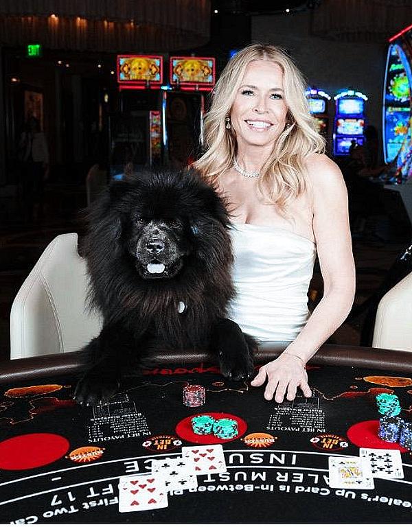 Chelsea Handler to Donate $1 of Every Ticket Purchased to Her New Las Vegas Residency Back to the Animal Foundation