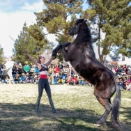 BHP Events Open House: A Day of Fun, Wellness, and Spectacular Performances