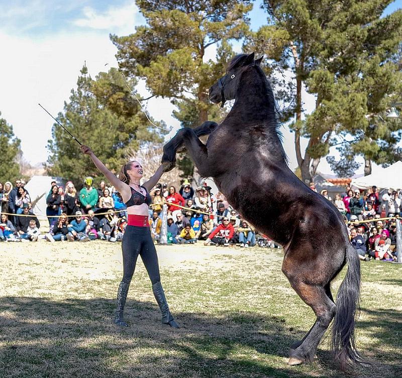 BHP Events Open House: A Day of Fun, Wellness, and Spectacular Performances