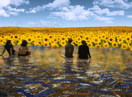 ‘The New Immersive Van Gogh: The Next Chapter’ + ‘In Pour Taste’ End Las Vegas Run on Jan. 31