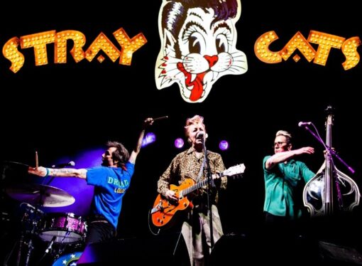 The Stray Cats Announce Summer Tour, Launch at The Cosmopolitan of Las Vegas on July 24