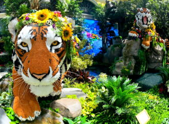 Photos: Bellagio Conservatory & Botanical Gardens Welcomes Summer on the Las Vegas Strip