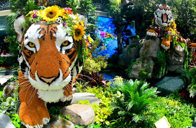 Photos: Bellagio Conservatory & Botanical Gardens Welcomes Summer on the Las Vegas Strip