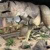 Las Vegas Science & Natural History Museum Marks 35 Years With ‘Magic of Science’ on July 11