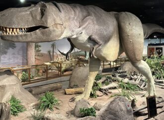 Las Vegas Science & Natural History Museum Marks 35 Years With ‘Magic of Science’ on July 11
