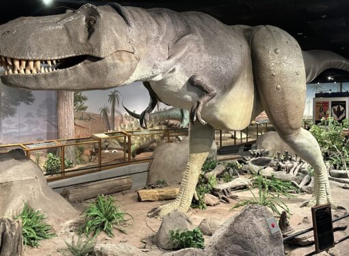 Las Vegas Science & Natural History Museum Marks 35 Years With ‘Magic of Science’ on July 11