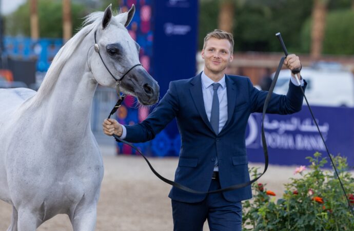 Global Champions Arabians Tour Heads to Las Vegas for Its 2026 Americas Final